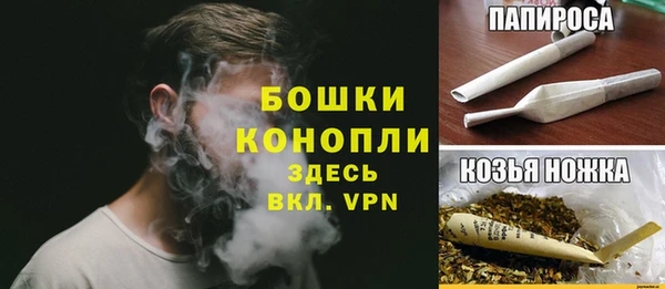 тгк Арсеньев