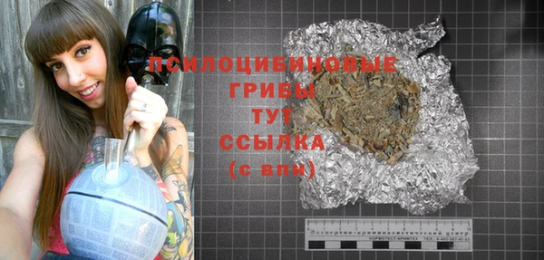 эйфоретик Алексин