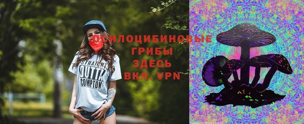 скорость Аркадак