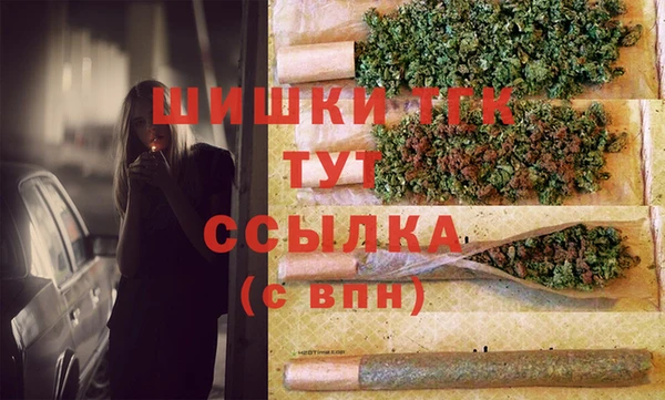 тгк Арсеньев