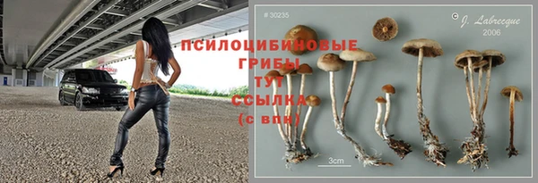 эйфоретик Алексин