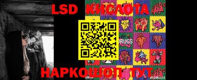 спиды Шахты