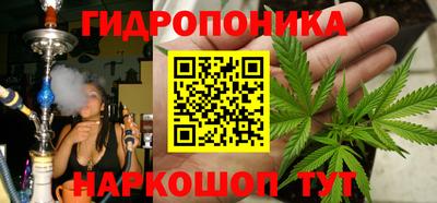 спиды Шахты