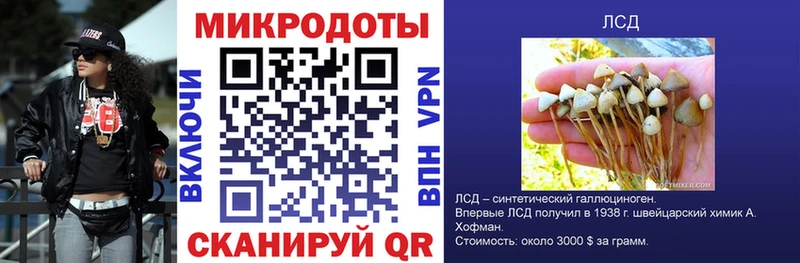где купить Морозовск Псилоцибиновые грибы Cubensis
