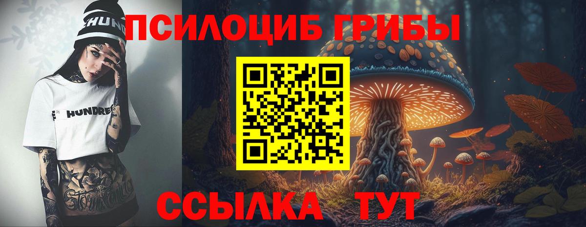 Псилоцибиновые грибы GOLDEN TEACHER  Вход с VPN  Морозовск 